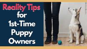 New Puppy Training - Helpful Reality Tips For First Time Dog Owners