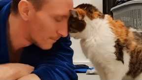 Funny Cat and Human That Will Change Your Mood For Good