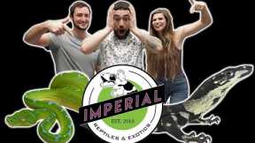 Reptile Shop Tour at Imperial Reptiles