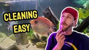 The Best Ways To Maintain A Fish Tank Aquarium Maintenance |  Clean your Fish Tank Easily