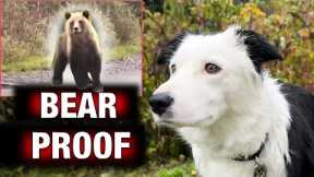 Mastering Real-World Socialization! Training my dog to be bear-proof!