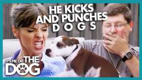 Victoria Threatens To Call Police On Owner Who BEATS UP Dogs | It's Me or the Dog