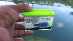 WORLD'S SMALLEST Fish AQUARIUM! (REAL)
