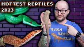 Top 5 Newly Popular Reptiles That Will BLOW UP in 2023