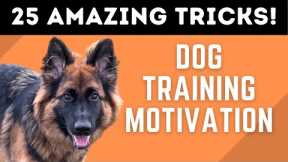 The POWER of Positive Dog Training! (25 AMAZING DOG TRICKS!)