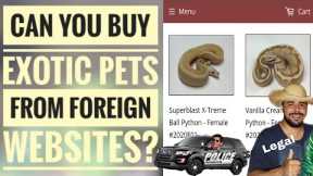 Can You Buy Exotic Pets From Foreign Websites? | Singh Exotics.
