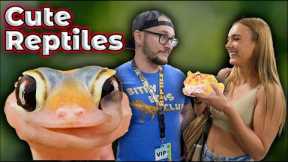 Top 5 Cutest Pet Reptiles In The World!