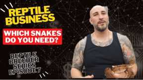 What to Buy to Be Successful - Do You Need Expensive Snakes? - Reptile Breeder Series Episode #7