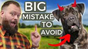 Mistakes Dog Owners Make And How To Avoid Them