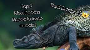 Top 7 Most Badass Reptile Pets - Dragons Still Exist!!😱
