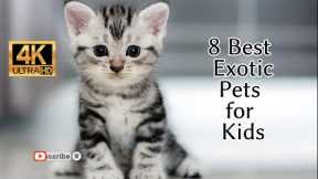 8 Best Exotic Pets for Kids 4K