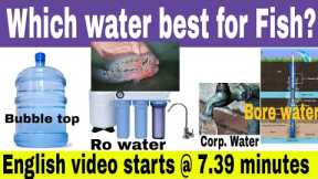 Best water for fish tanks
