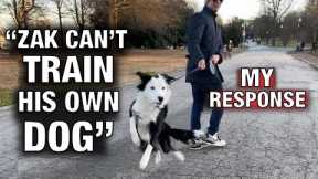 “Zak George Can’t Train His Own Dog”: My Response. How I Trained My Dog to Listen Off Leash