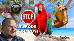 STOP! Watch This Before Buying Exotic Pets!