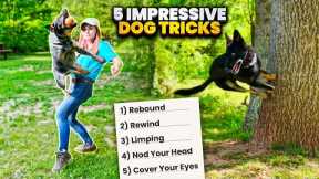 Amaze Your Friends with These 5 Easy-to-Learn Dog Tricks