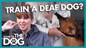 Victoria Teaches Owners How to Train a Deaf Dog | It's Me or The Dog