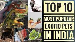 Top 10 Most Popular Exotic Pets In India. 🦖🇮🇳 | Singh Exotics.