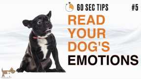 YOUR DOG'S EMOTIONAL STATE (DOG LANGUAGE) - 60 SEC Dog Training Tips #5