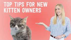 New Kitten? 10 things you NEED to know!