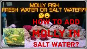|How to add Molly fish to salt water tank? | Molly fish fresh water or salt water?|#Mollyfish