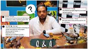 QnA On Exotic Pets | Is Keeping Exotic Pets In India Illigal !!? | Reply To All The Quires.. #india
