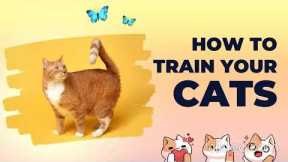 How to train your cat? Trending Funny Animals Videos.