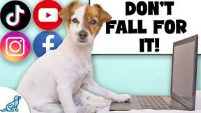 The Internet Is FULL Of Bad Dog Training Advice...