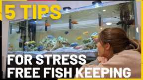 How to keep fish easy and stress free - 5 TIPS for a low maintenance tank