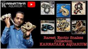 Rarest Exotic Snakes Collection At KARNATAKA AQUARIUM | Exotic Reptiles And Pets In #india #reptile