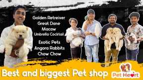 Exotic pets || dogs || persian cats|| telugu vlogs || Hyderabad best and biggest exotic pet showroom