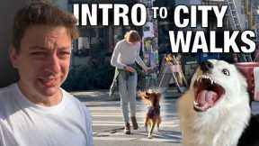 How To Go From Out of Control Dog to Leash Walking Bliss in a Crowded City!