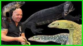 WOW!!! YOU CAN'T OUTDO THIS INDONESIA REPTILE EXPO (PART 1)