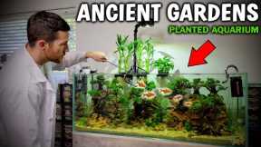 Ancient Gardens (Bonsai Tree) Planted Aquarium - Advanced Fish Tank Setup