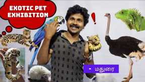 Exotic Pets Exhibition | Ball Python Pet | Iguana | Bengal Cat | Madurai | Macow | Birds Farm | Pets