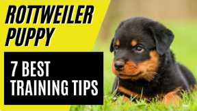 7 BEST Rottweiler Puppy Training Tips - How to train a Rottweiler
