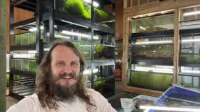 Friday Night Live Q&A Freshwater Aquarium Keeping Fish Shrimp and Plants