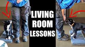 5 Puppy Training Exercises You Should Do EVERY DAY At Home! - Living Room Lessons