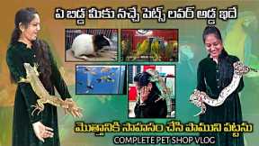 HYDERABAD PET SHOP VLOG|CAT🐈🐦FISH🐟|SNAKES||PARROTSBall pythons/iguanas exotic pet store in Hyderabad