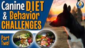 Dog Behavior And Diet: Recovery For This! Beyond Dog Training Part 2 #204 #podcast