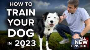 I’ll Show You How To Get Your Dog to Listen To You Anywhere on Earth ￼￼