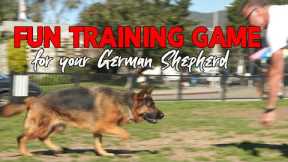 German Shepherd Training Game - make Obedience Fun for your DOG