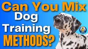 Can Dog Training Be Effective, Efficient AND Compassionate? #201 #podcast