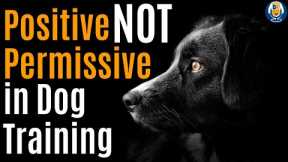 What Does Positive Is Not Permissive Really Mean In Dog Training? #198 #podcast