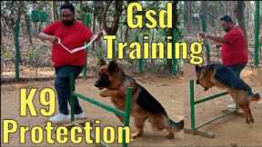 German Shepherd training | How to train a dog|Dog training|Puppy training|German shepherd protecting
