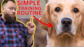 This Dog Training Secret Will Guarantee Perfect Dogs At Home