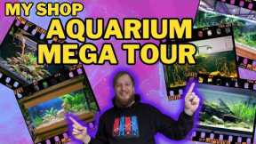 FULL TOUR! Every single display aquarium that me and @MDFishTanks created in my shop.