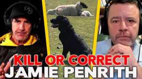What's More Evil?  Dog Training Tools vs The Alternative - Episode 109 Jamie Penrith