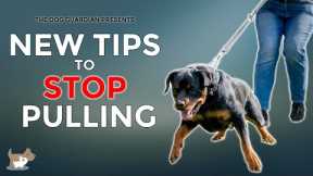 STOP your dog pulling on the lead - 7 tips for loose leash walking
