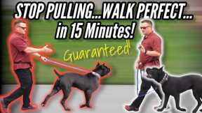 How to STOP your DOG PULLING on LEASH...GUARANTEED!  / / Dog Trainer's Secret Revealed
