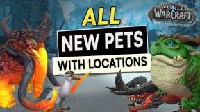 ALL New Hunter PETS & Where To Get Them! WoW: Dragonflight - Lesser Dragonkin Taming & Many More!